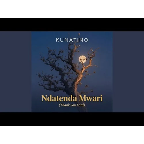 NDATENDA MWARI(THANKS GOD)