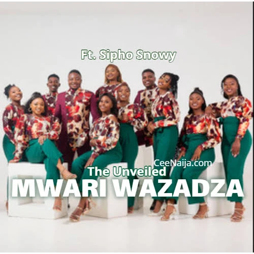 MWARI WAZADZA